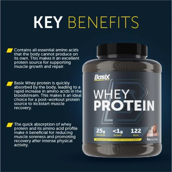 Basics Whey Protein - High-Quality Protein Supplement